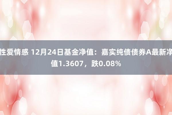 性爱情感 12月24日基金净值：嘉实纯债债券A最新净值1.3607，跌0.08%